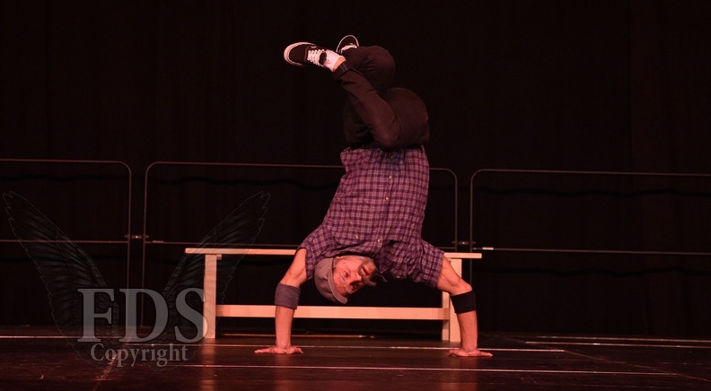 Dance_Show_2016_1216.jpg