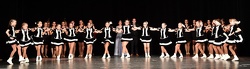 Garde Schueler