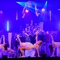 Dance Show Night 20 0927