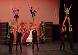 Gardefestival Kraiburg 477