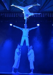 Crazy Flight