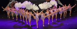 New  Dimension Velden