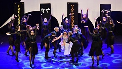 Showtanz Ingolstadt  1108