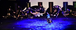 Showtanz Ingolstadt  1116