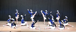 Prinzengarde Dingolfing  Marsch 